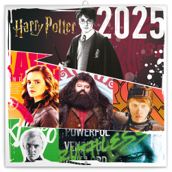 Falinaptár képes lemeznaptár 300x300mm, Harry Potter Realsystem 2026. Falinaptár Realsystem