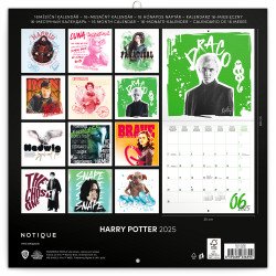 Falinaptár képes lemeznaptár 300x300mm, Harry Potter Realsystem 2026.