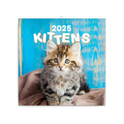 Falinaptár képes lemeznaptár 300x300mm, Kittens Realsystem 2026. Falinaptár Realsystem