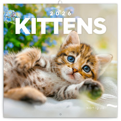 Falinaptár képes lemeznaptár 300x300mm, Kittens Realsystem 2026.
