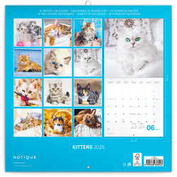 Falinaptár képes lemeznaptár 300x300mm, Kittens Realsystem 2026.