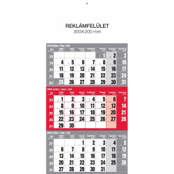 Falinaptár speditőr 1 tömbös 12 lapos 300mmx480mm, üres fejlappal piros Realsystem 2026.