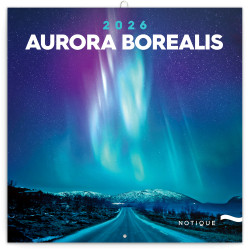 Falinaptár képes lemeznaptár 300x300mm, Aurora Borealis Realsystem 2026. Falinaptár Realsystem