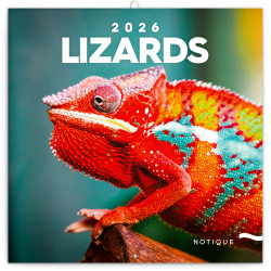 Falinaptár képes lemeznaptár 300x300mm, Lizards Realsystem 2026. Falinaptár Realsystem