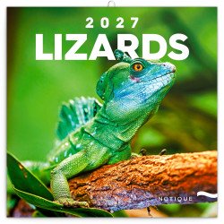 Falinaptár képes lemeznaptár 300x300mm, Lizards Realsystem 2027. Falinaptár Realsystem