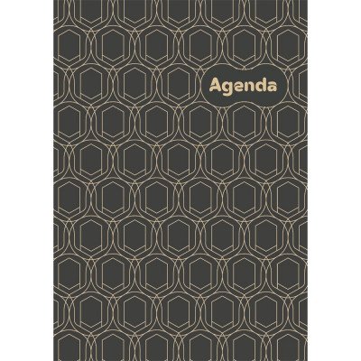 Határidőnapló Colors A5 heti, fehér lapokkal Art Modern Dayliner 2027.