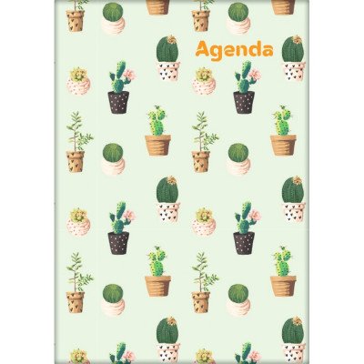 Határidőnapló Colors A5 napi, fehér lapokkal Cactus Dayliner 2027.