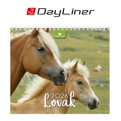 Képes asztali naptár 150 x 130 mm, fehér lapokkal Lovak álló mini Dayliner 2026. Asztali naptár Dayliner