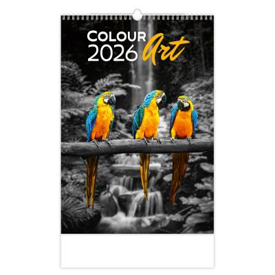 Falinaptár képes 315 x 450 mm, fehér lapokkal Colour Art Dayliner 2027.