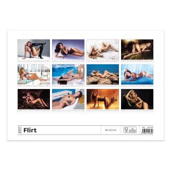 Falinaptár képes 450 × 315 mm, fehér lapokkal Flirt Dayliner 2027.