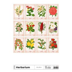 Falinaptár képes 315 x 450 mm, fehér lapokkal Herbarium Dayliner 2027.