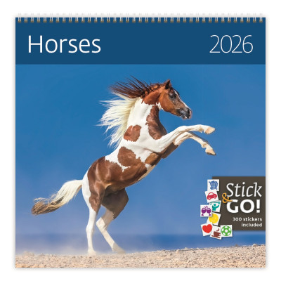 Falinaptár képes 300 x 300 mm, fehér lapokkal Horses Dayliner 2027.