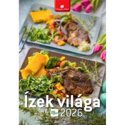 Falinaptár képes 230 x 330 mm, fehér lapokkal Ízek világa Dayliner 2027. Falinaptár Dayliner