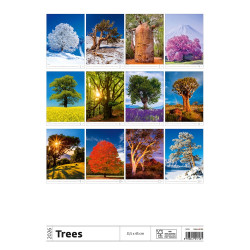 Falinaptár képes 315 x 450 mm, fehér lapokkal Trees Dayliner 2027.
