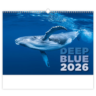 Falinaptár képes 315 × 450 mm Deep Blue Dayliner 2027.
