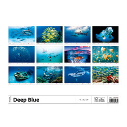 Falinaptár képes 315 × 450 mm Deep Blue Dayliner 2027.