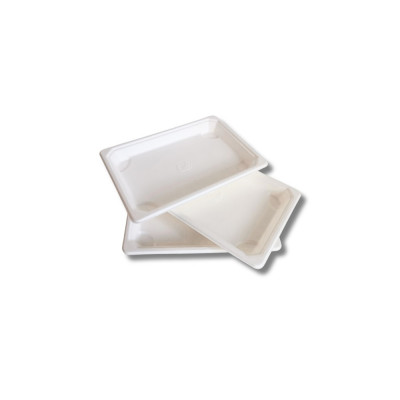 Papírtálca 185 x 128 x 20mm komposztálható cukornád 50 db/csomag