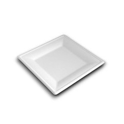 Papírtányér szögletes 20 x 20 cm komposztálható cukornád 50 db/csomag natúr Iroda üzemeltetés, munkavédelem Egyéb