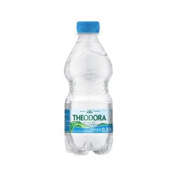 Ásványvíz 0,33l szénsavas Theodora DRS