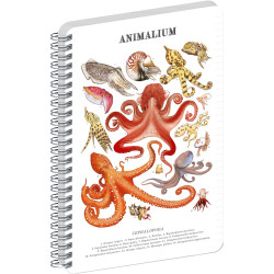 Jegyzetfüzet ikerspirálos Animalium – Cephalopods, vonalas, 21x29,7cm A4, Presco Író- irodaszer, papíráru Presco