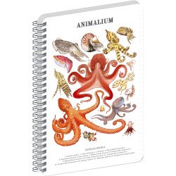 Jegyzetfüzet ikerspirálos Animalium – Cephalopods, vonalas, 21x29,7cm A4, Presco Író- irodaszer, papíráru Presco