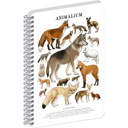 Jegyzetfüzet ikerspirálos Animalium – Canines, vonalas, 21x29,7cm A4, Presco Író- irodaszer, papíráru Presco