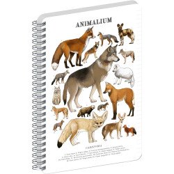 Jegyzetfüzet ikerspirálos Animalium – Canines, vonalas, 14,8x21cm A5, Presco Író- irodaszer, papíráru Presco