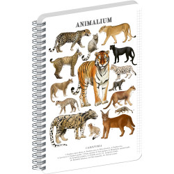 Jegyzetfüzet ikerspirálos Animalium – Felines, négyzethálós, 21x29,7cm A4, Presco Író- irodaszer, papíráru Presco