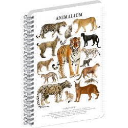 Jegyzetfüzet ikerspirálos Animalium – Felines, négyzethálós, 14,8x21cm A5, Presco Író- irodaszer, papíráru Presco