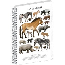 Jegyzetfüzet ikerspirálos Animalium – Perissodactyls, négyzethálós, 21x29,7cm A4, Presco Író- irodaszer, papíráru Presco