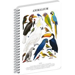 Jegyzetfüzet ikerspirálos Animalium – Birds, sima, 21x29,7cm A4, Presco Író- irodaszer, papíráru Presco