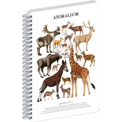 Jegyzetfüzet ikerspirálos Animalium – Artiodactyls, sima, 21x29,7cm A4, Presco Író- irodaszer, papíráru Presco