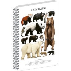 Jegyzetfüzet ikerspirálos Animalium – Bears, sima, 21x29,7cm A4, Presco Író- irodaszer, papíráru Presco